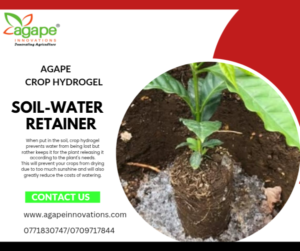 Water retainer/ Hydrogel/ sorbent.