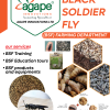 Black Soldier Fly products and services