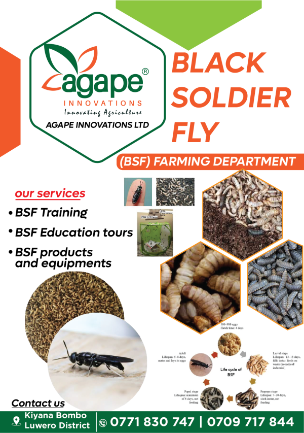 2024/10/1000476023.png Black Soldier Fly products and services