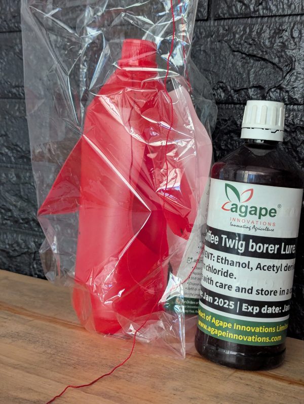 Coffee Twig Borer Trap